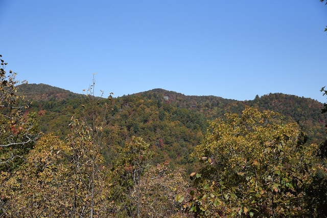 view of mountain feature