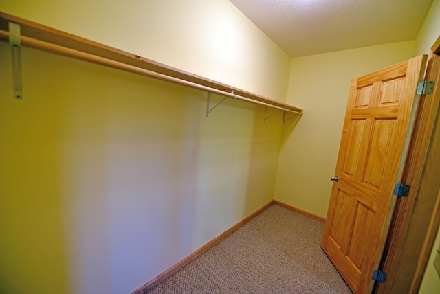 spacious closet featuring carpet floors