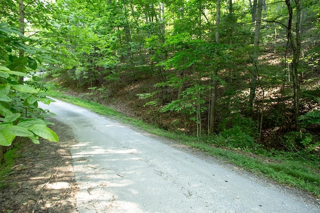 Lot161 Aj'S Holler, Blairsville GA, 30512 land for sale