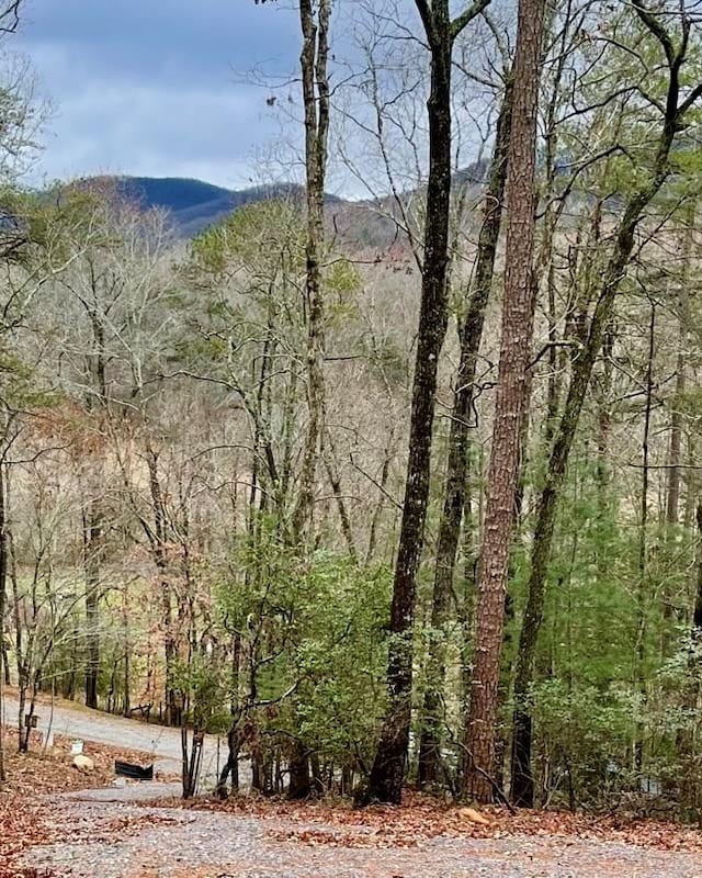 0 Possum Poke Rd, Ellijay GA, 30536 land for sale