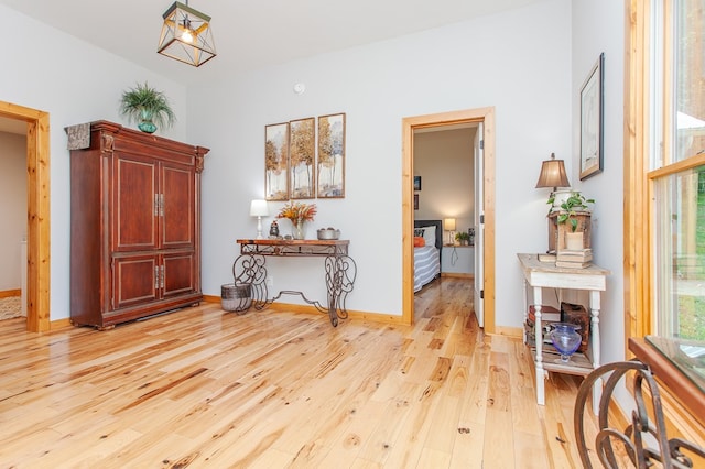 entrance foyer with light hardwood / wood-style flooring