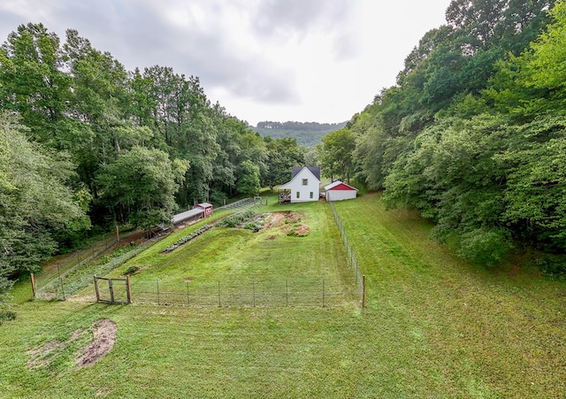 view of yard featuring a rural view