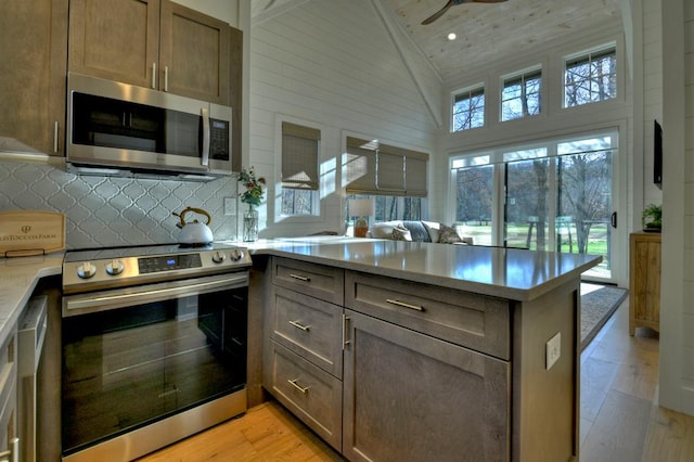 kitchen featuring backsplash, a wealth of natural light, and stainless steel appliances