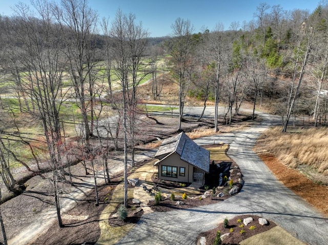 drone / aerial view