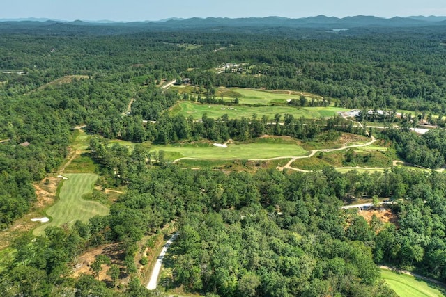 birds eye view of property with a forest view and a mountain view