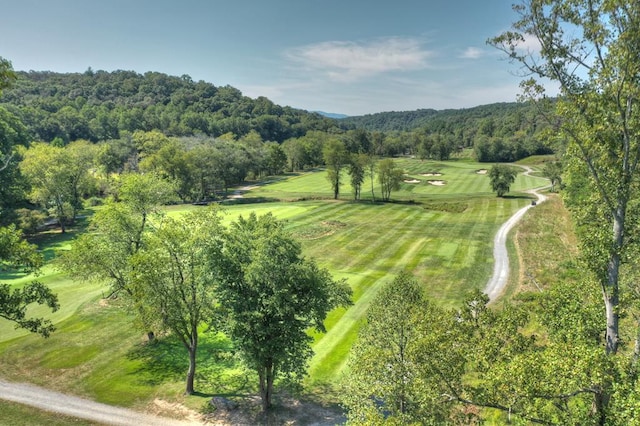 bird's eye view featuring a wooded view