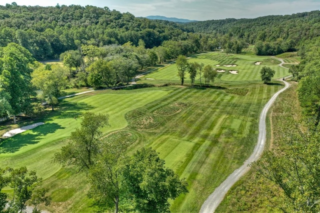 aerial view featuring a view of trees