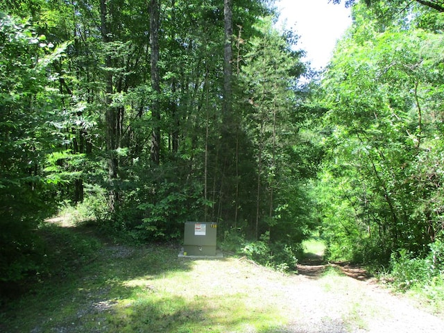 LT38A Trillium Hts, Brasstown NC, 28902 land for sale