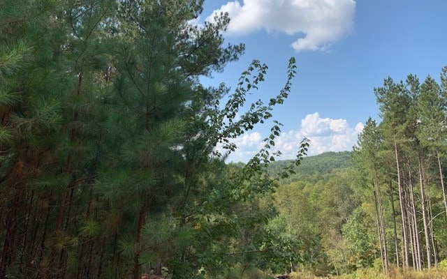 LOT9 Pinehurst Rd, Blairsville GA, 30512 land for sale