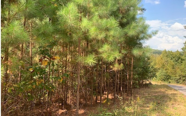 Listing photo 3 for LOT9 Pinehurst Rd, Blairsville GA 30512