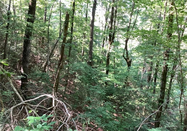 LOT197 Dowel Cir, Ellijay, GA 30540