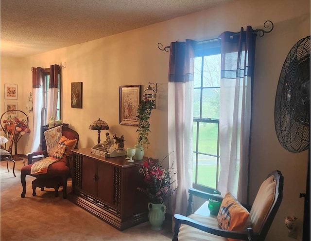 sitting room with carpet flooring and a textured ceiling