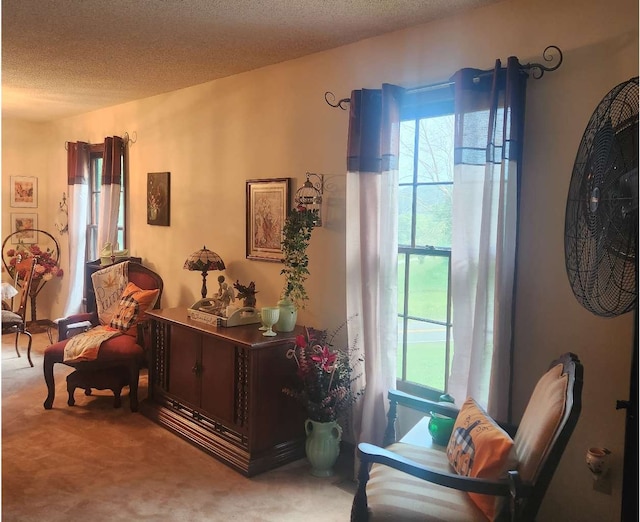 living area featuring carpet flooring and a textured ceiling