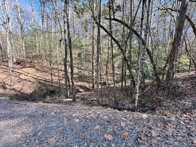 LT3764R Eagle Mtn, Ellijay GA, 30540 land for sale