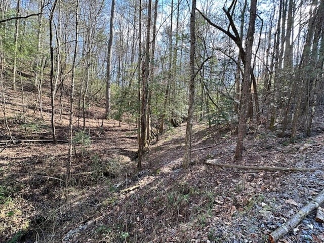 Listing photo 2 for LT3764R Eagle Mtn, Ellijay GA 30540