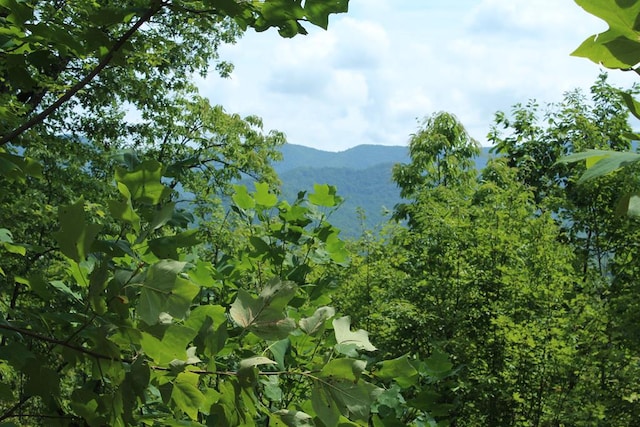 1 Gabriel Rdg, Hayesville NC, 28904 land for sale