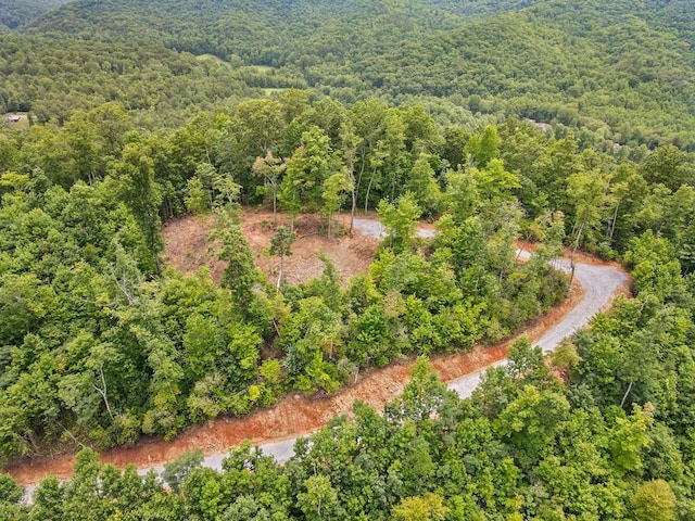 4.48AC Tom Wheeler Rd, Hiawassee GA, 30546 land for sale