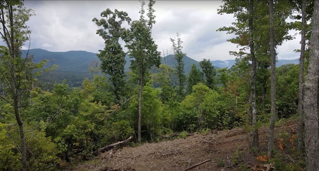 Listing photo 3 for 4.48AC Tom Wheeler Rd, Hiawassee GA 30546