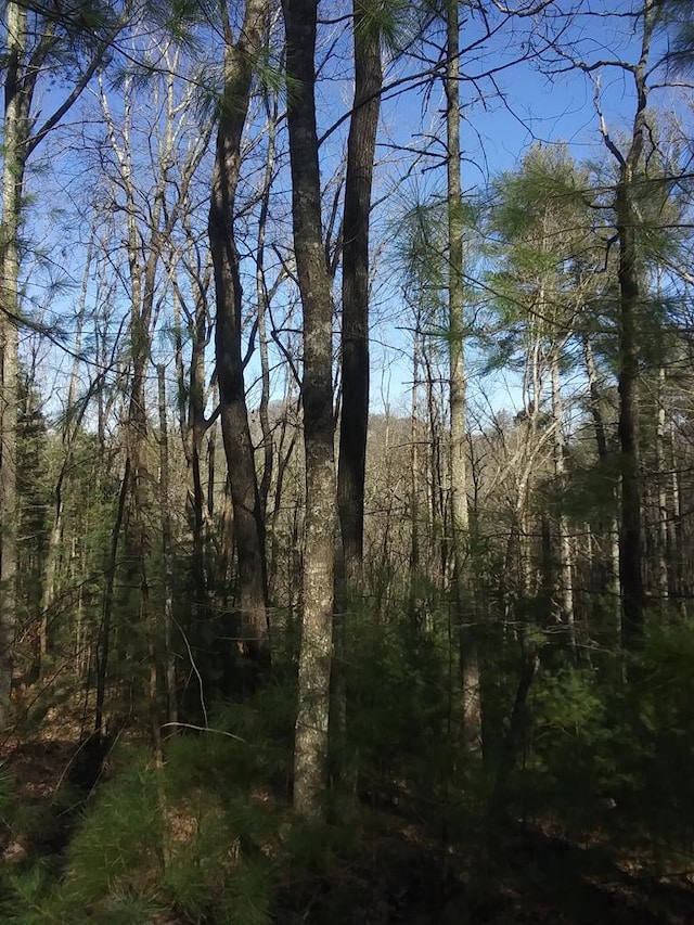 NA Rock Creek Rd, Cherry Log GA, 30522 land for sale