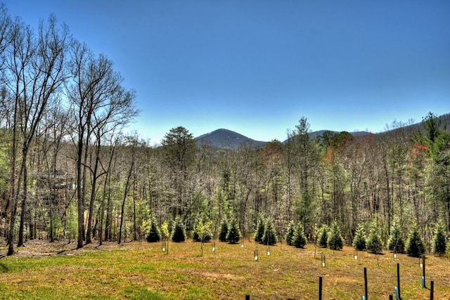 view of mountain view