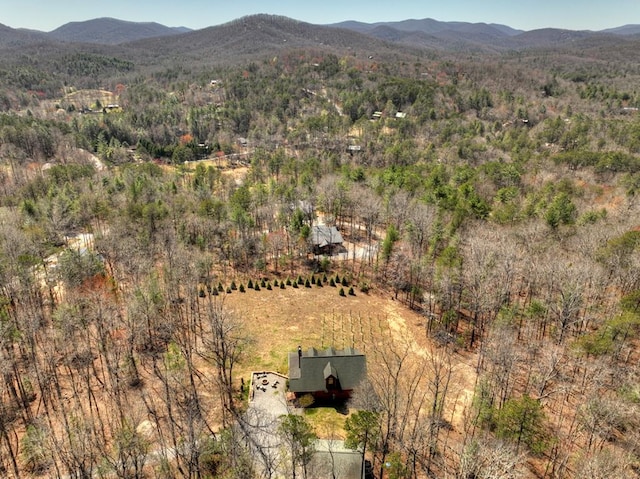 view of mountain view