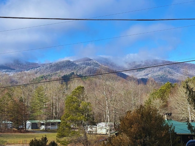 view of mountain feature