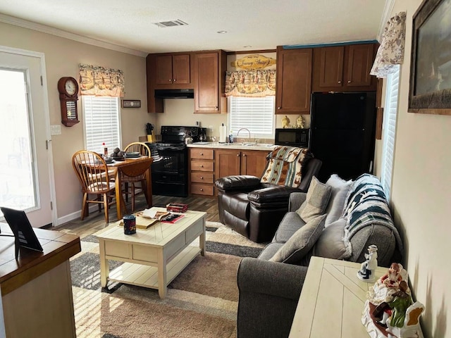 living room featuring sink, ornamental molding, and light hardwood / wood-style flooring