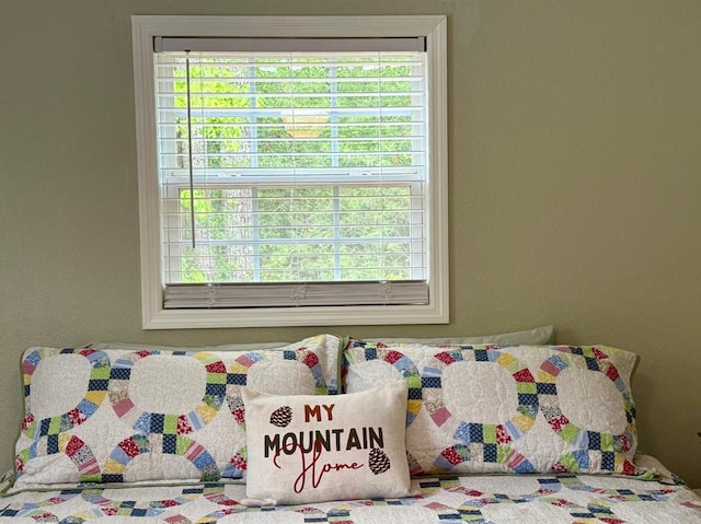 bedroom featuring multiple windows