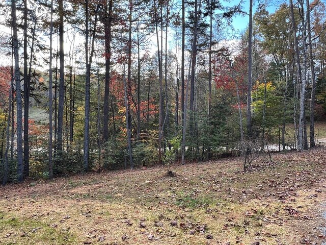 view of undeveloped land