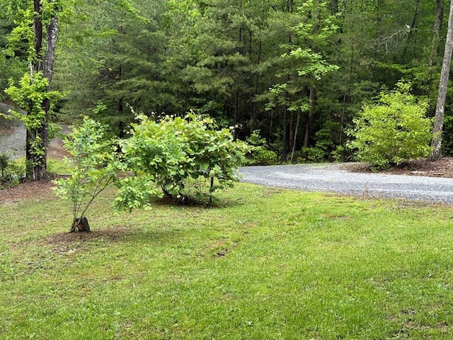 view of yard featuring a forest view