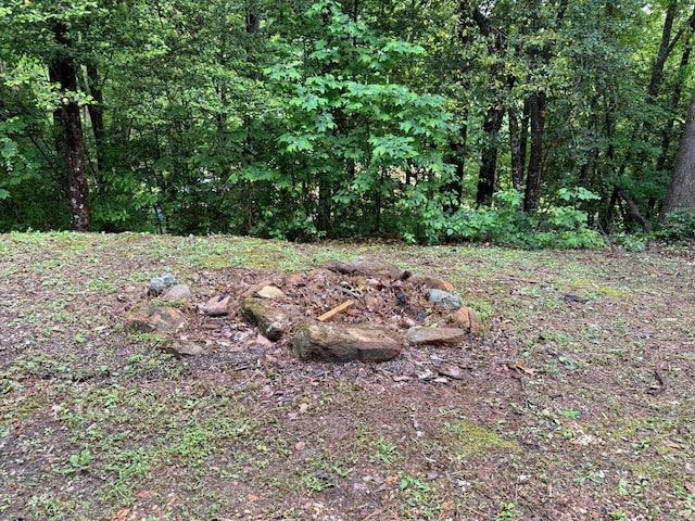 view of tree filled area