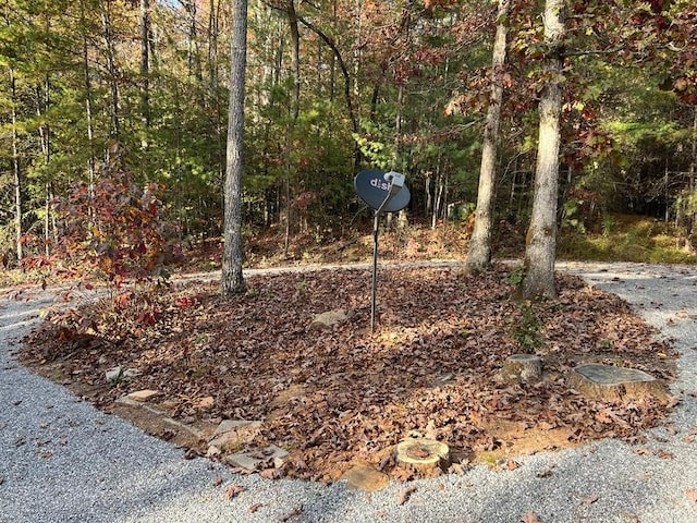 exterior view of a wooded view