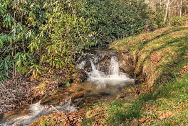 view of nature