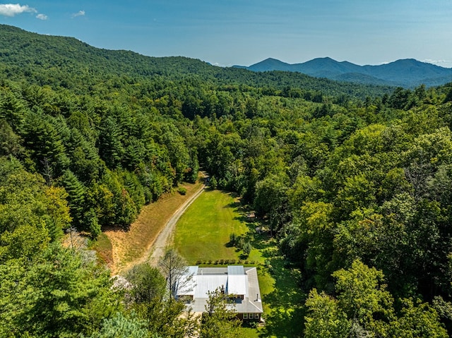 birds eye view of property featuring a mountain view