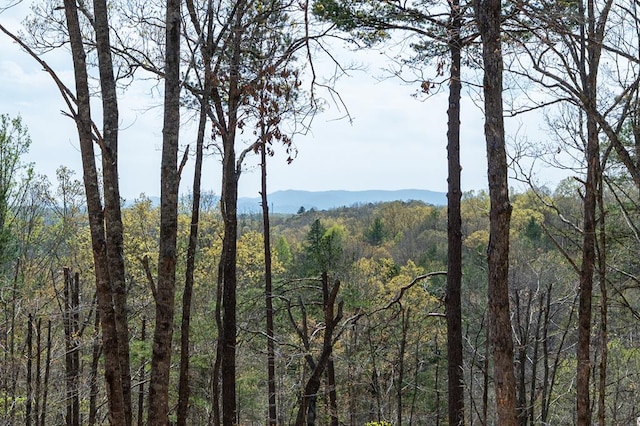view of mountain feature with a view of trees