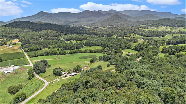 bird's eye view featuring a mountain view