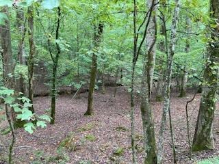 LOT3093 Monocle Dr, Ellijay GA, 30540 land for sale