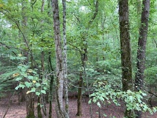 Listing photo 2 for LOT3093 Monocle Dr, Ellijay GA 30540