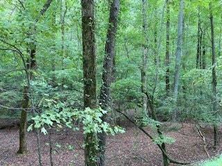 Listing photo 3 for LOT3093 Monocle Dr, Ellijay GA 30540