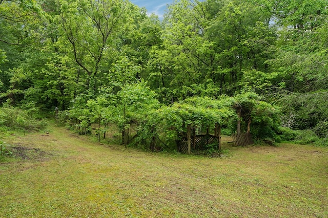 view of tree filled area