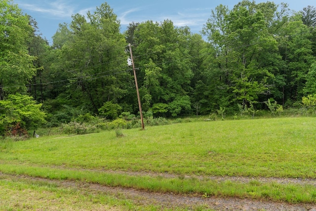 view of wooded area