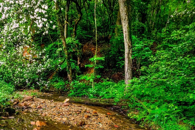 view of nature
