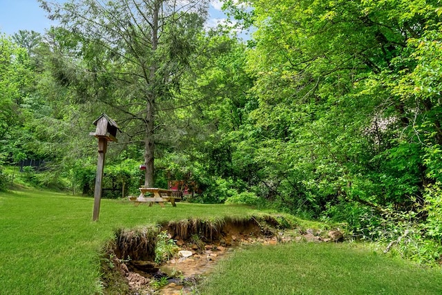 view of grassy yard featuring a forest view