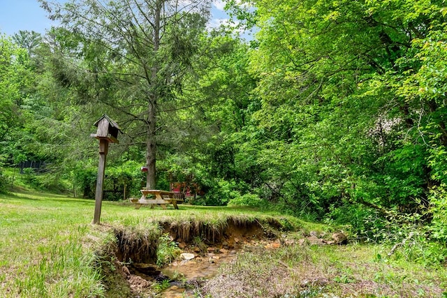 view of yard with a forest view