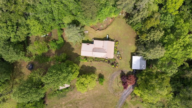 bird's eye view