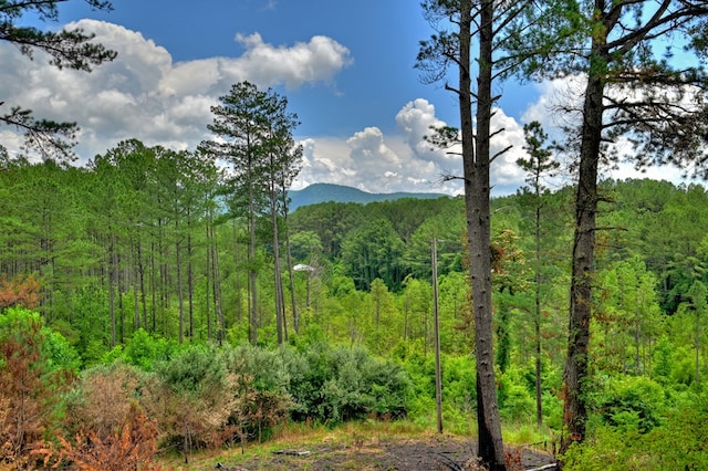 view of mountain feature with a view of trees