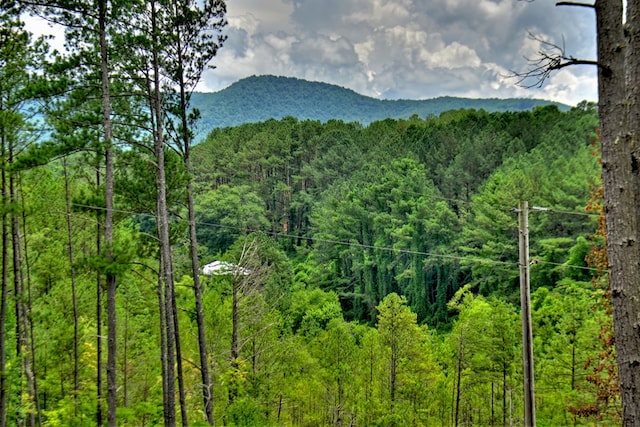view of mountain feature featuring a wooded view