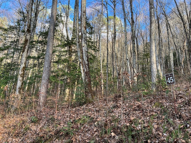 Listing photo 3 for LOT45 Tusquittee Xing, Hayesville NC 28904