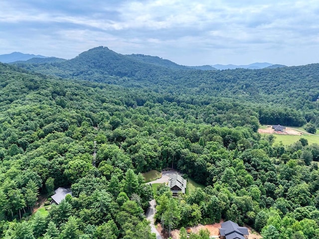 birds eye view of property with a mountain view