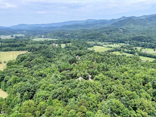 property view of mountains